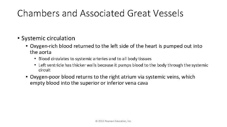 Chambers and Associated Great Vessels • Systemic circulation • Oxygen-rich blood returned to the