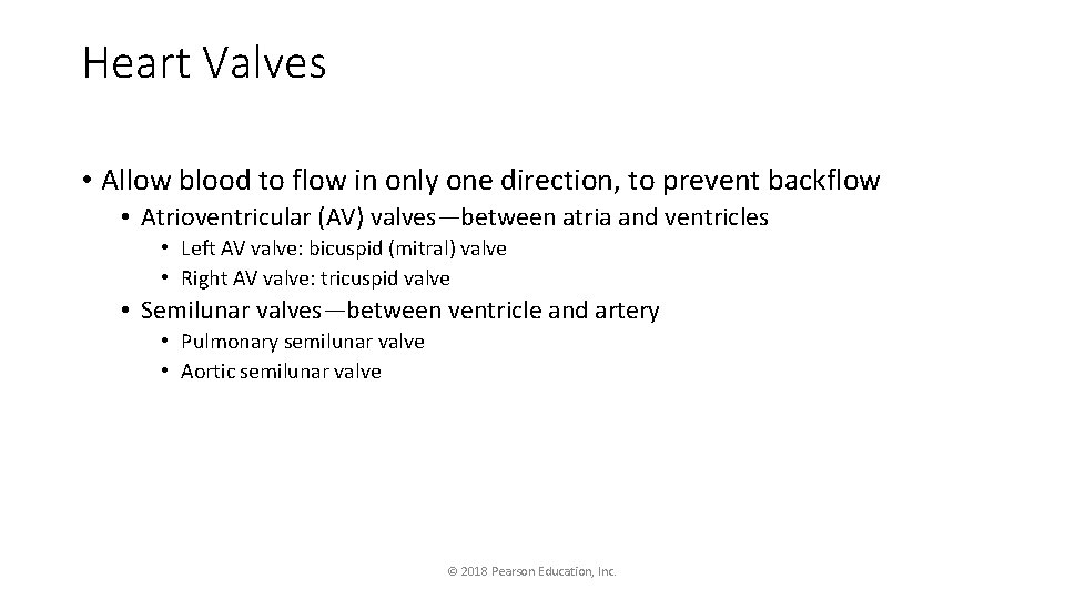 Heart Valves • Allow blood to flow in only one direction, to prevent backflow