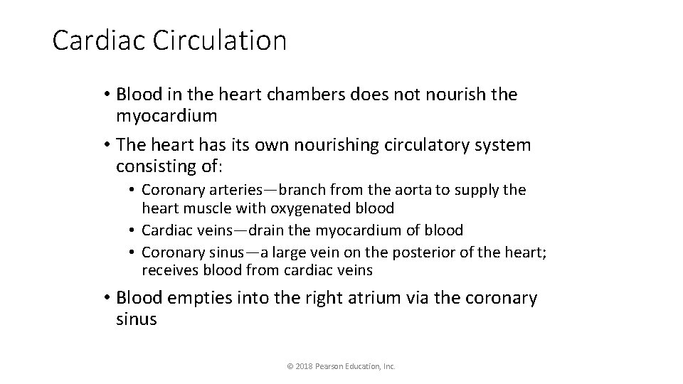 Cardiac Circulation • Blood in the heart chambers does not nourish the myocardium •