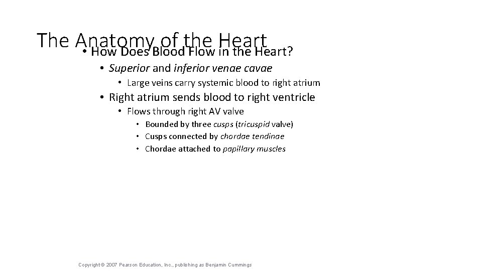 The Anatomy of the Heart • How Does Blood Flow in the Heart? •