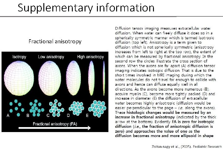Supplementary information Fractional anisotropy 
