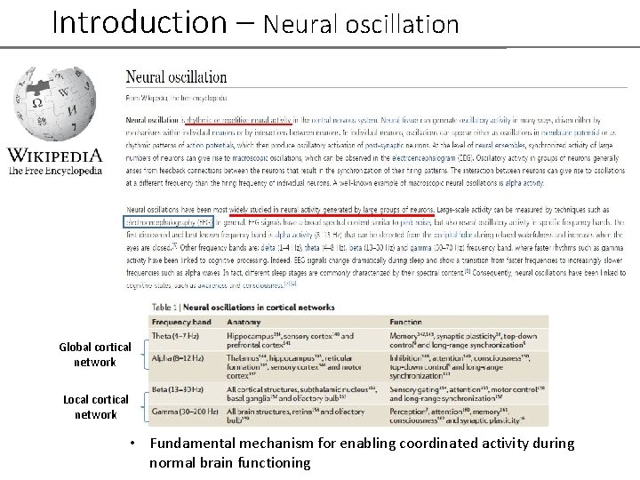Introduction – Neural oscillation Global cortical network Local cortical network • Fundamental mechanism for