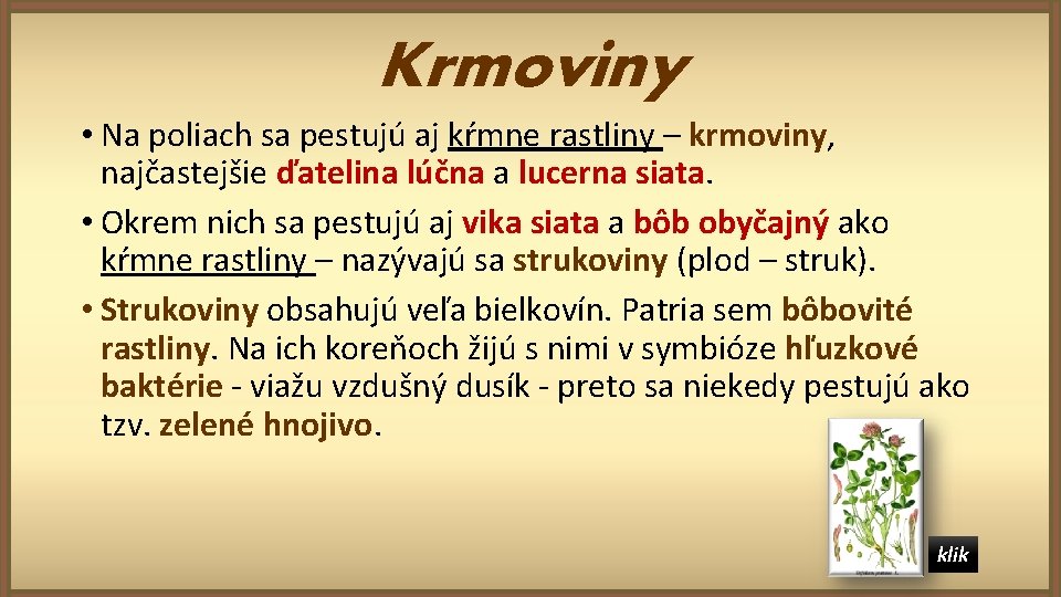 Krmoviny • Na poliach sa pestujú aj kŕmne rastliny – krmoviny, najčastejšie ďatelina lúčna