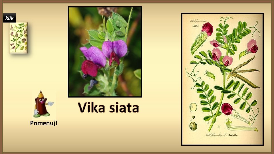 klik Vika siata Pomenuj! 