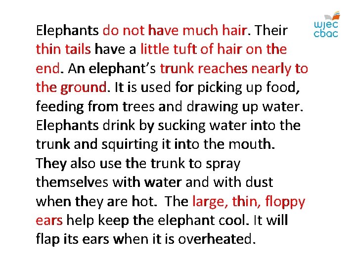 Elephants do not have much hair. Their thin tails have a little tuft of