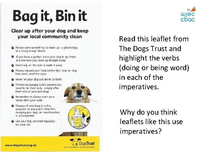 Read this leaflet from The Dogs Trust and highlight the verbs (doing or being