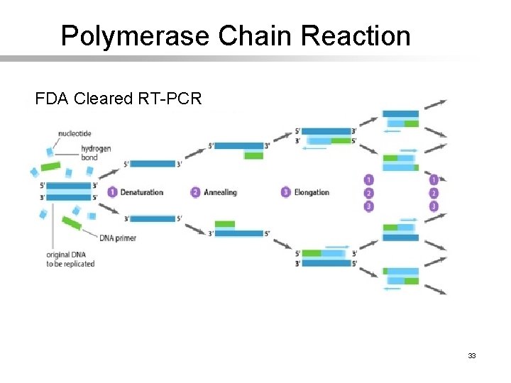 Polymerase Chain Reaction FDA Cleared RT-PCR 33 