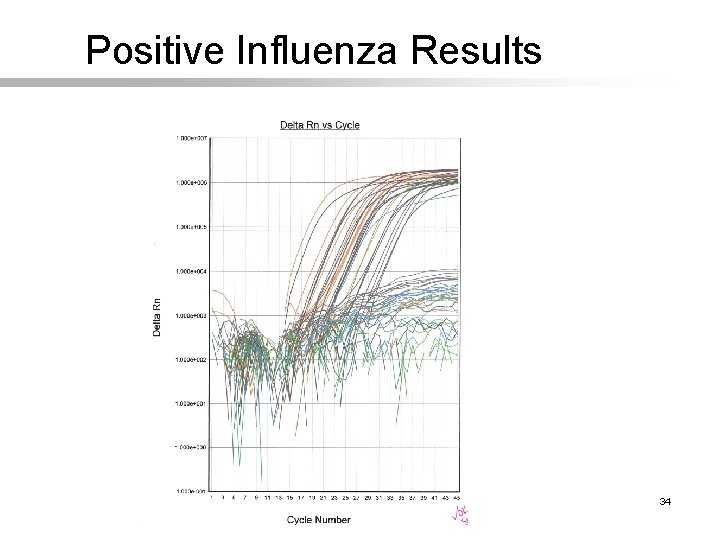 Positive Influenza Results 34 