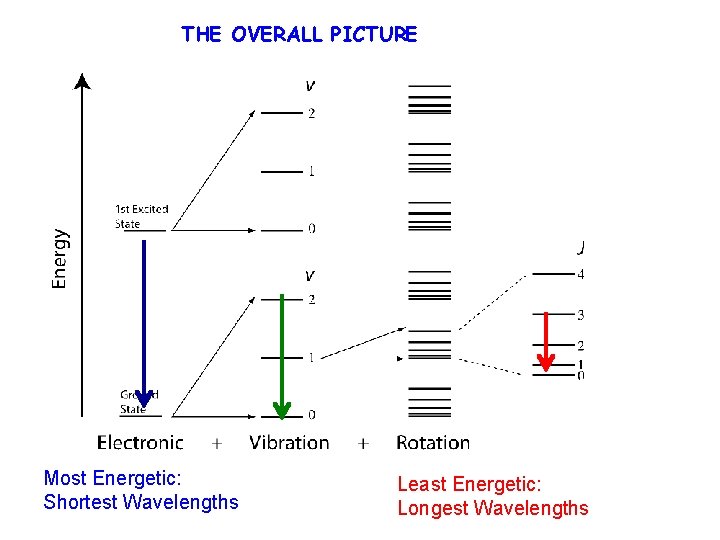 THE OVERALL PICTURE Most Energetic: Shortest Wavelengths Least Energetic: Longest Wavelengths 