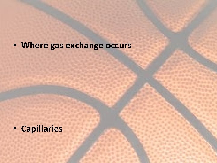  • Where gas exchange occurs • Capillaries 