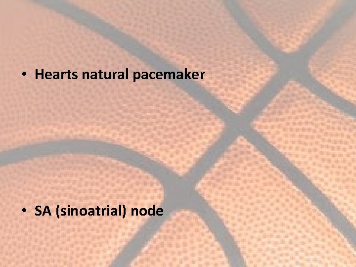  • Hearts natural pacemaker • SA (sinoatrial) node 