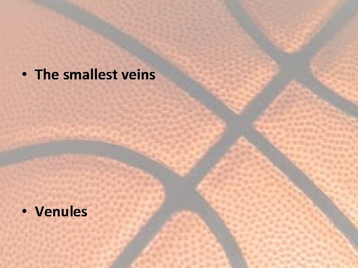  • The smallest veins • Venules 