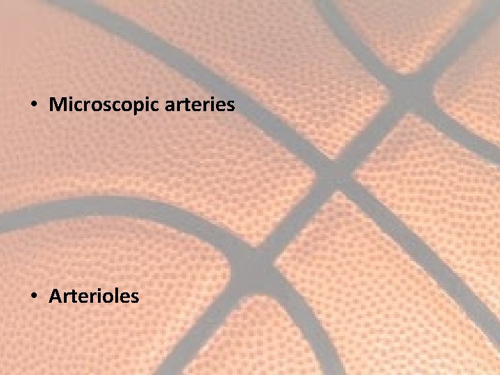  • Microscopic arteries • Arterioles 