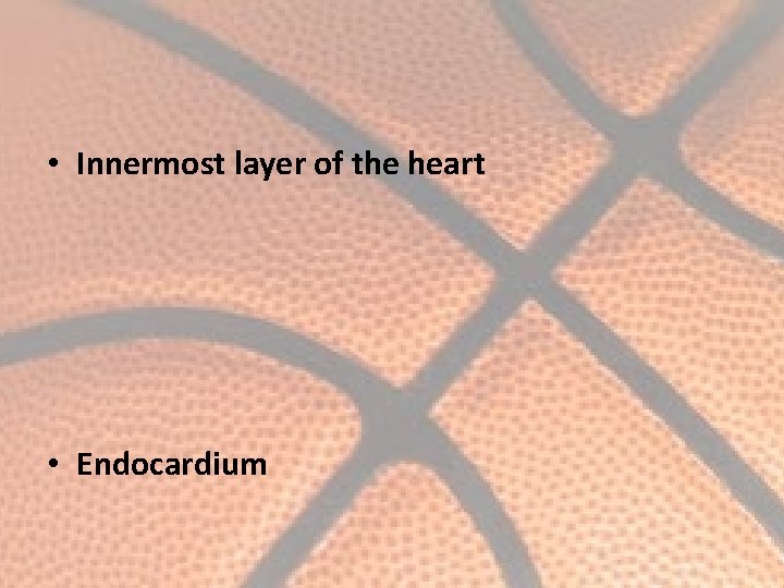  • Innermost layer of the heart • Endocardium 