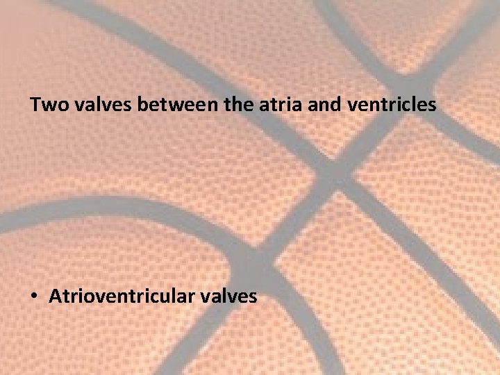 Two valves between the atria and ventricles • Atrioventricular valves 