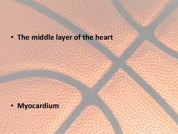  • The middle layer of the heart • Myocardium 