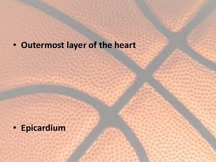  • Outermost layer of the heart • Epicardium 