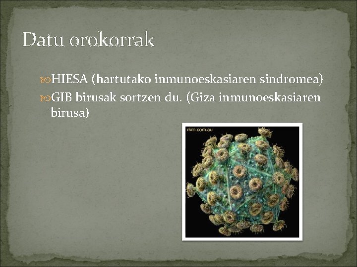 Datu orokorrak HIESA (hartutako inmunoeskasiaren sindromea) GIB birusak sortzen du. (Giza inmunoeskasiaren birusa) 