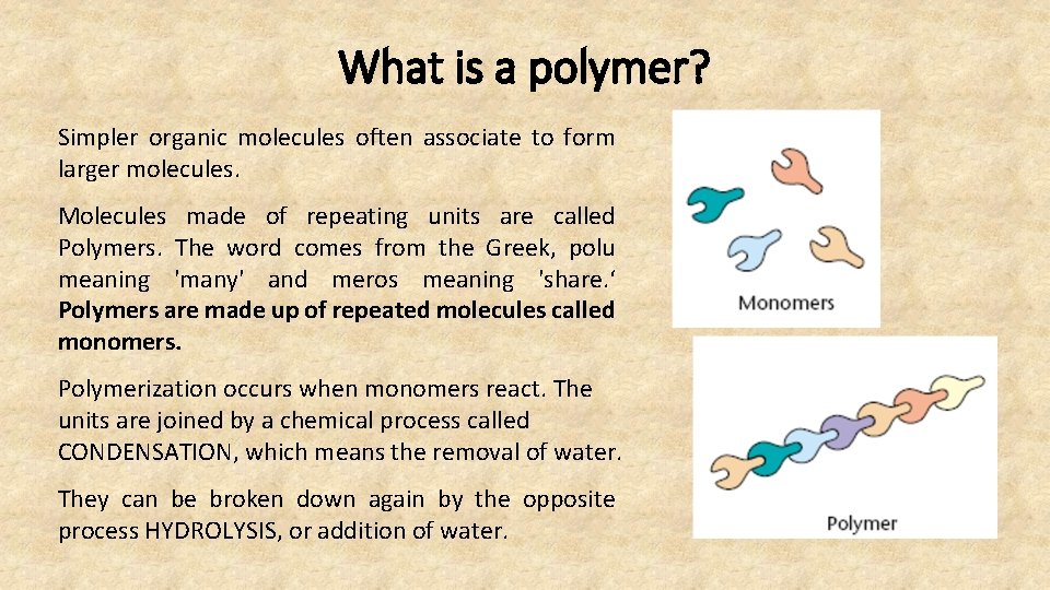 What is a polymer? Simpler organic molecules often associate to form larger molecules. Molecules