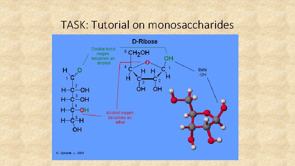 TASK: Tutorial on monosaccharides 