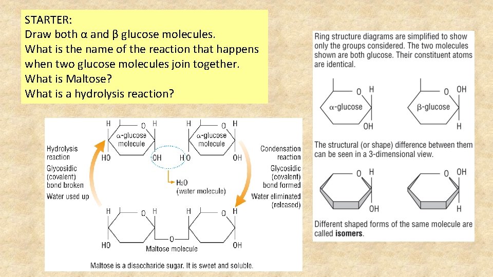 STARTER: Draw both α and β glucose molecules. What is the name of the