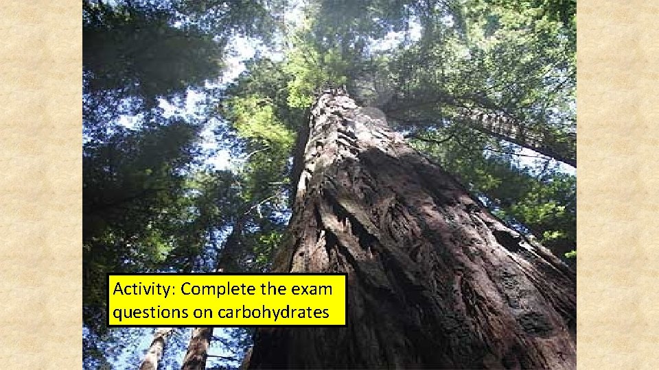 Activity: Complete the exam questions on carbohydrates 