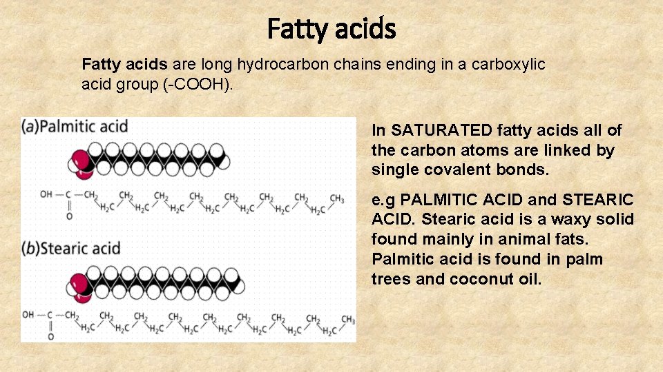 Fatty acids are long hydrocarbon chains ending in a carboxylic acid group (-COOH). In