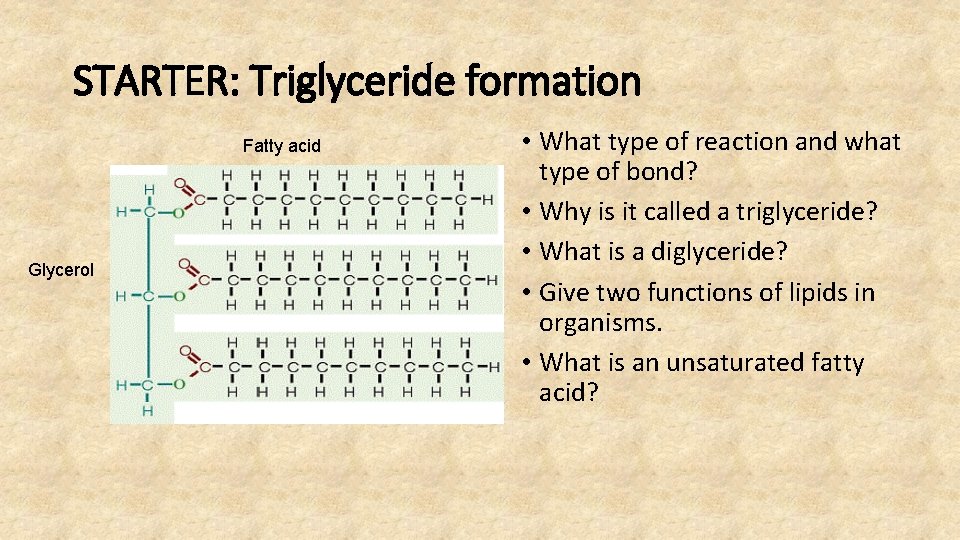 STARTER: Triglyceride formation Fatty acid Glycerol • What type of reaction and what type