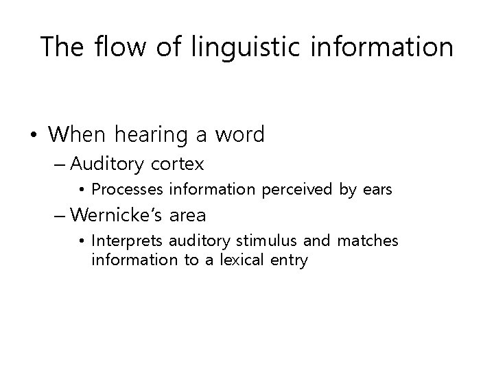 The flow of linguistic information • When hearing a word – Auditory cortex •