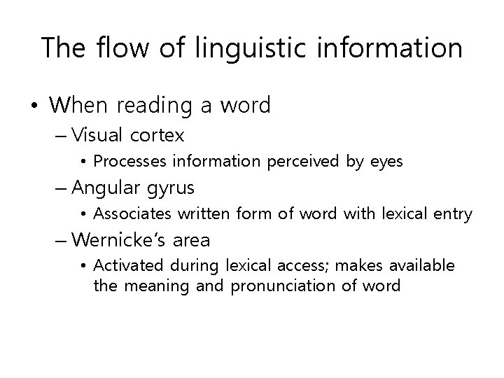 The flow of linguistic information • When reading a word – Visual cortex •