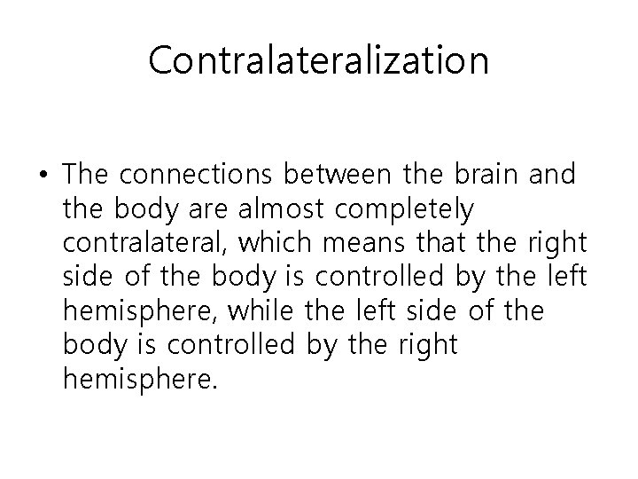 Contralateralization • The connections between the brain and the body are almost completely contralateral,