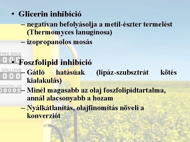  • Glicerin inhibíció – negatívan befolyásolja a metil-észter termelést (Thermomyces lanuginosa) – izopropanolos