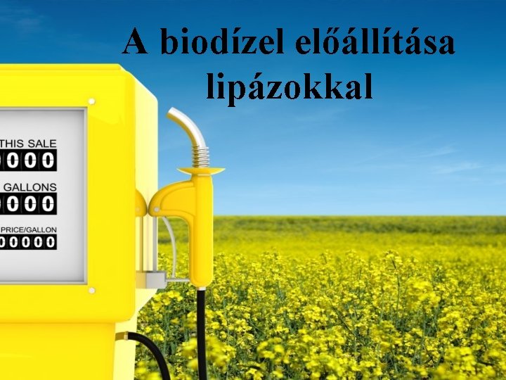 A biodízel előállítása lipázokkal 