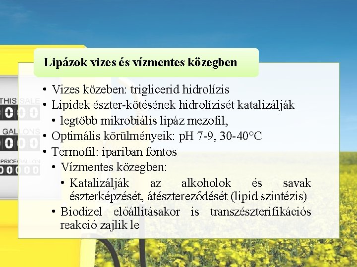 Lipázok vizes és vízmentes közegben • Vizes közeben: triglicerid hidrolízis • Lipidek észter-kötésének hidrolízisét