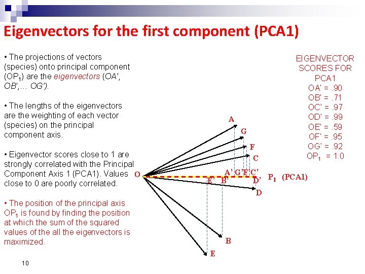 Eigenvectors for the first component (PCA 1) : • The projections of vectors (species)