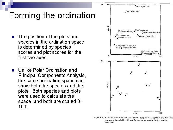 Forming the ordination n The position of the plots and species in the ordination