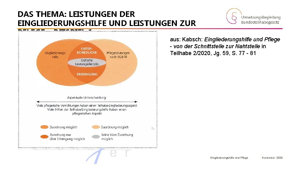DAS THEMA: LEISTUNGEN DER EINGLIEDERUNGSHILFE UND LEISTUNGEN ZUR PFLEGE – BEISPIEL 1 - aus: