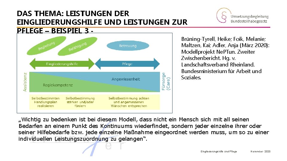 DAS THEMA: LEISTUNGEN DER EINGLIEDERUNGSHILFE UND LEISTUNGEN ZUR PFLEGE – BEISPIEL 3 - Brüning-Tyrell,