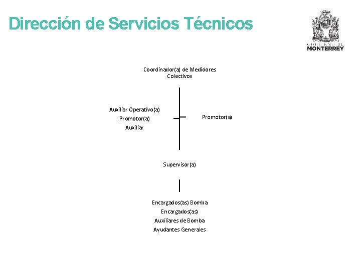 Dirección de Servicios Técnicos Coordinador(a) de Medidores Colectivos Auxiliar Operativo(a) Promotor(a) Auxiliar Supervisor(a) Encargados(as)