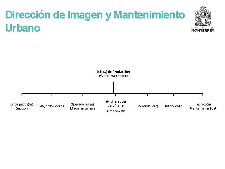 Dirección de Imagen y Mantenimiento Urbano Jefe(a) de Producción Vivero-Invernadero Encargados(as) Sección Mayordomos(as) Operadores(as)