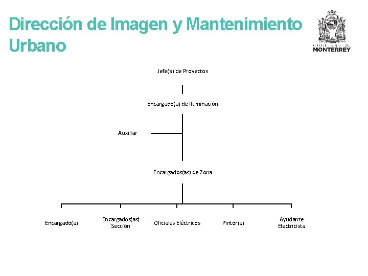 Dirección de Imagen y Mantenimiento Urbano Jefe(a) de Proyectos Encargado(a) de Iluminación Auxiliar Encargados(as)