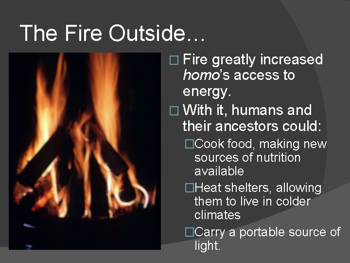 The Fire Outside… � Fire greatly increased homo’s access to energy. � With it,