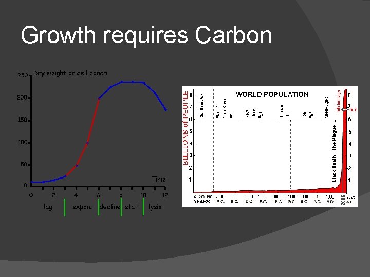 Growth requires Carbon 