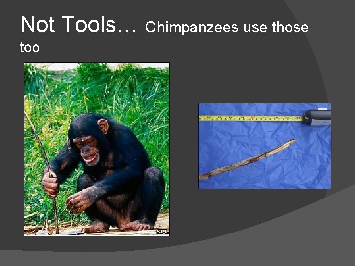Not Tools… Chimpanzees use those too 