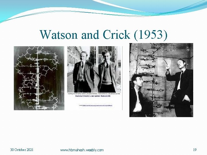 Watson and Crick (1953) 30 October 2021 www. hbmahesh. weebly. com 19 