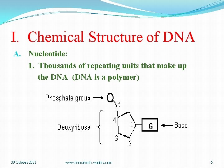 I. Chemical Structure of DNA A. Nucleotide: 1. Thousands of repeating units that make