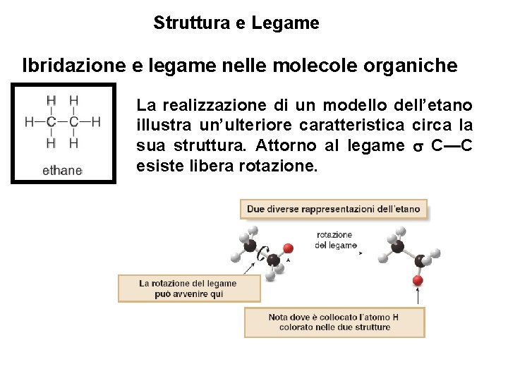 Struttura e Legame Ibridazione e legame nelle molecole organiche La realizzazione di un modello