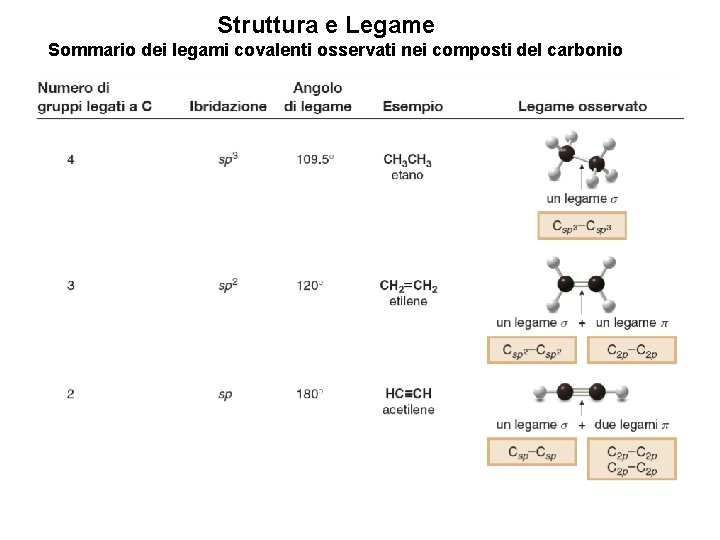 Struttura e Legame Sommario dei legami covalenti osservati nei composti del carbonio 