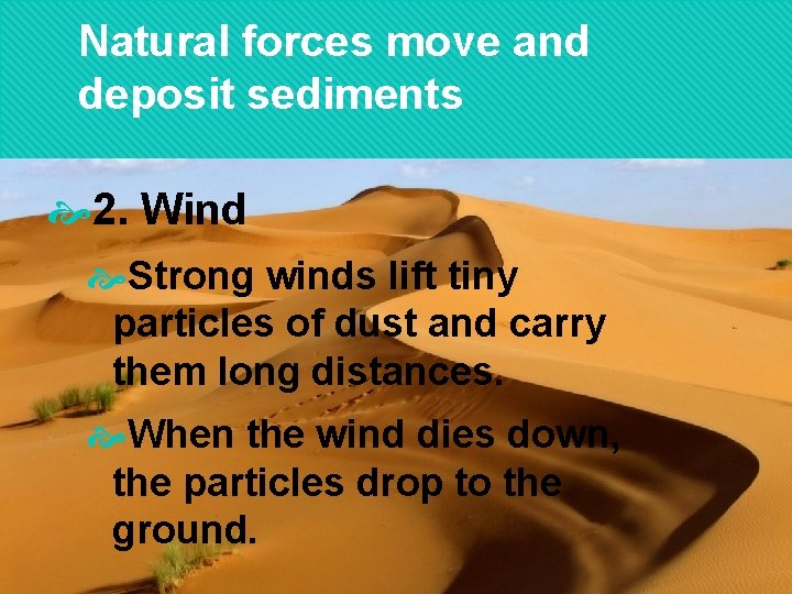 Natural forces move and deposit sediments 2. Wind Strong winds lift tiny particles of