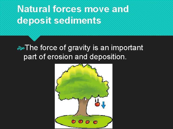 Natural forces move and deposit sediments The force of gravity is an important part